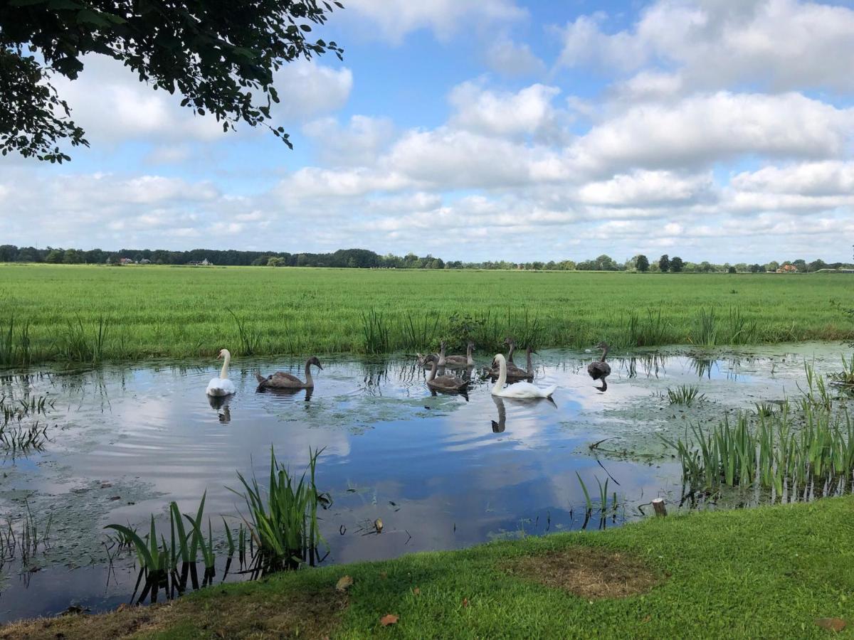 Prive In Een Bosrijke Omgeving Welkom Bij Gastenverblijf Het Ontsnapte Schaap In Jubbega Extérieur photo