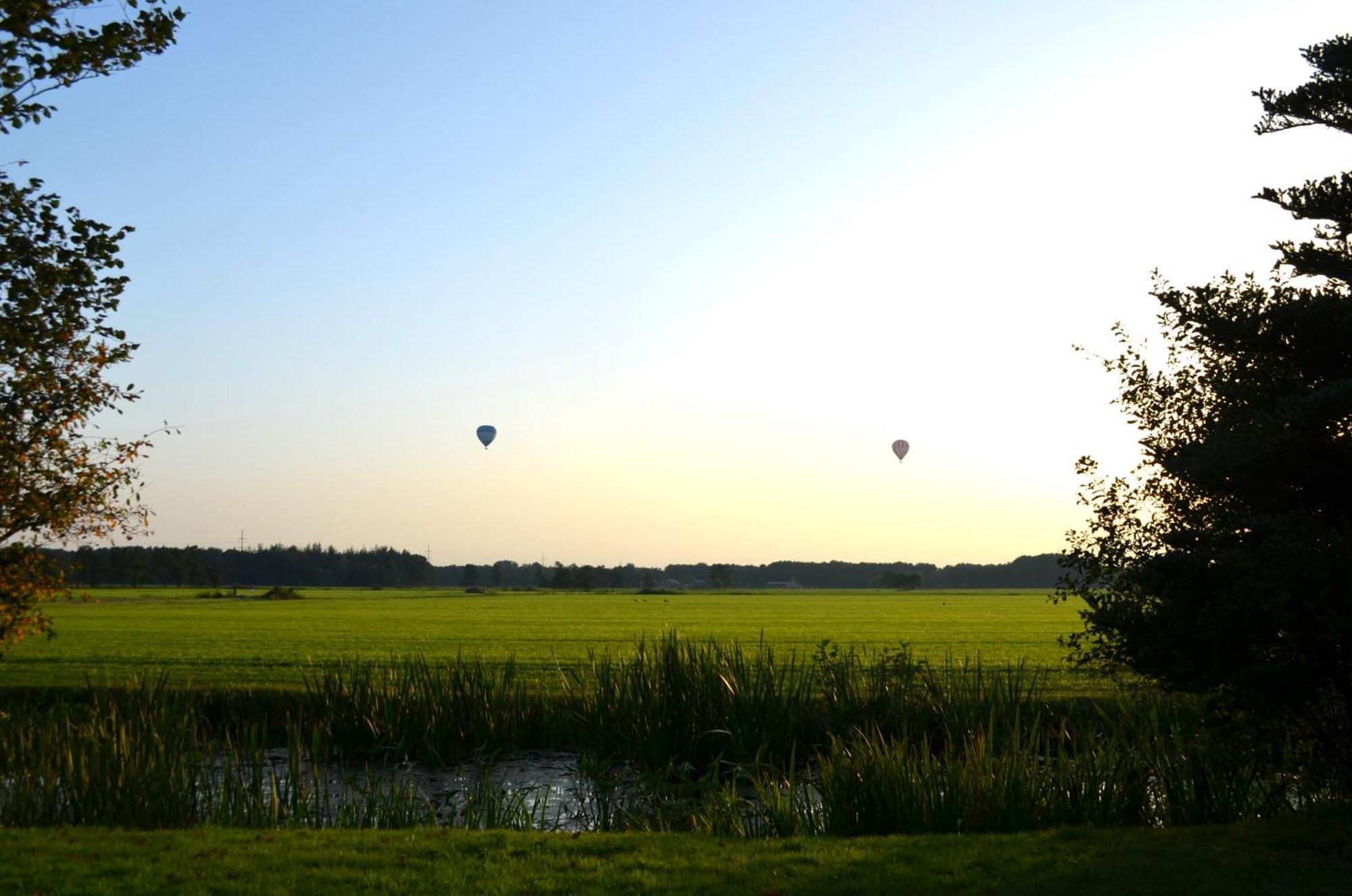 Prive In Een Bosrijke Omgeving Welkom Bij Gastenverblijf Het Ontsnapte Schaap In Jubbega Extérieur photo