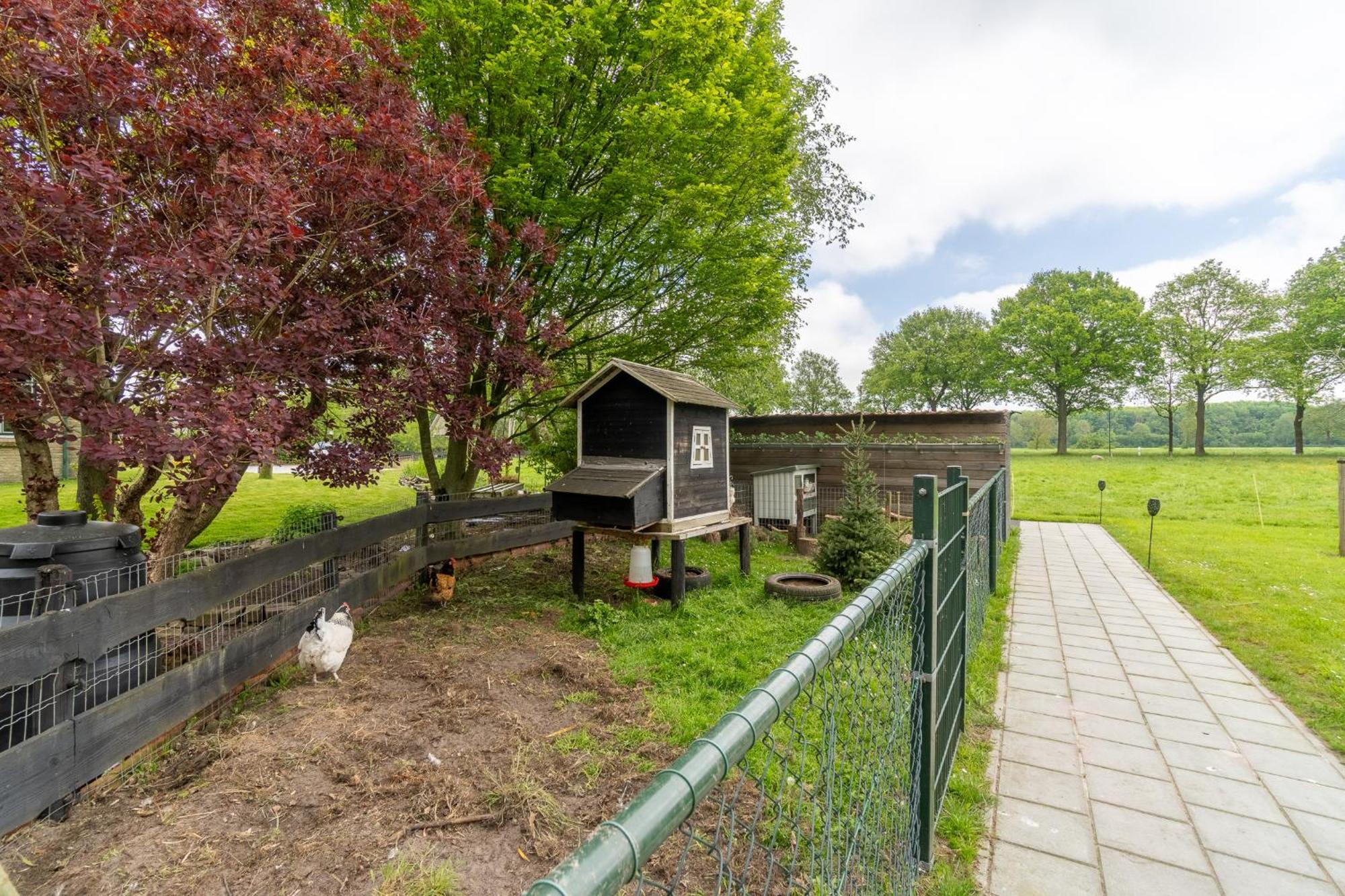 Prive In Een Bosrijke Omgeving Welkom Bij Gastenverblijf Het Ontsnapte Schaap In Jubbega Extérieur photo
