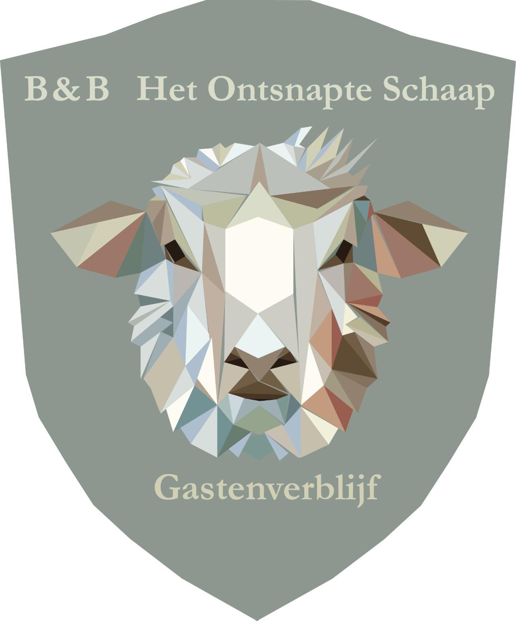 Prive In Een Bosrijke Omgeving Welkom Bij Gastenverblijf Het Ontsnapte Schaap In Jubbega Extérieur photo