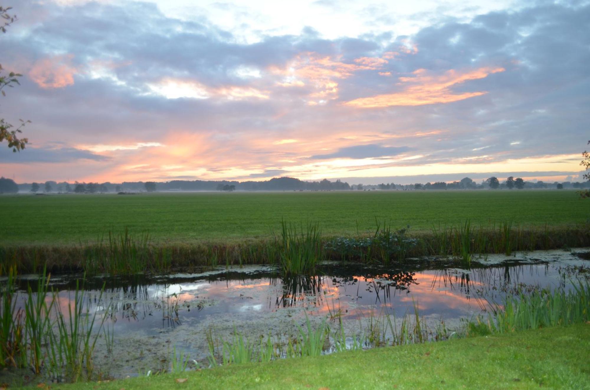 Prive In Een Bosrijke Omgeving Welkom Bij Gastenverblijf Het Ontsnapte Schaap In Jubbega Extérieur photo